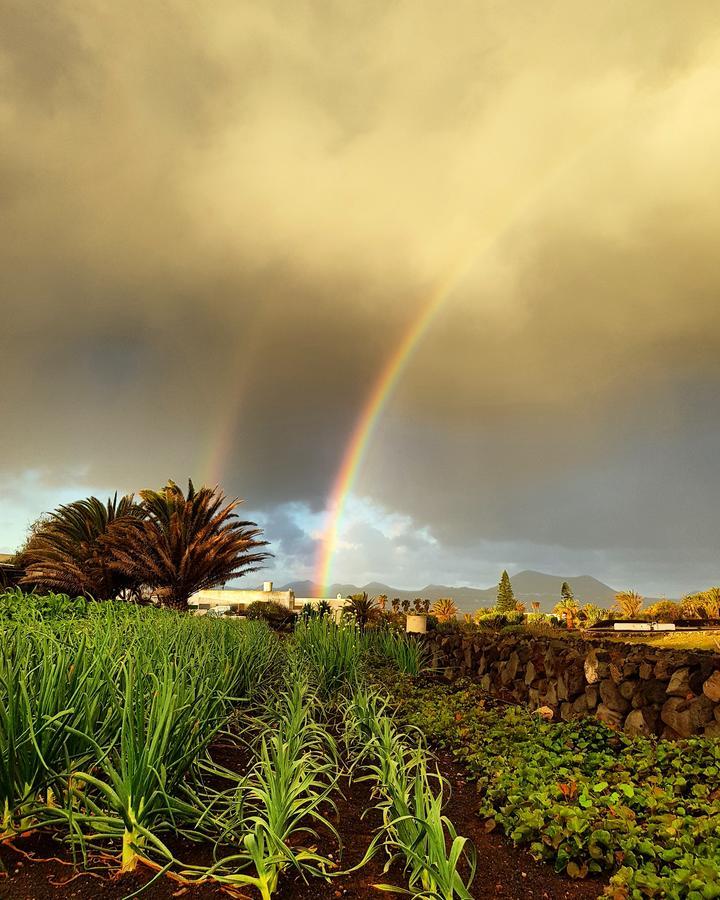 B&B La Mimosa Teguise (Lanzarote) Exterior foto