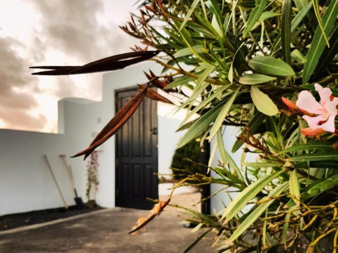 B&B La Mimosa Teguise (Lanzarote) Exterior foto
